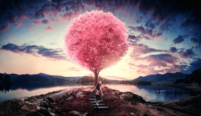 掌握要點，整個網站建設完畢將給人帶來驚艷的視覺效果。